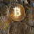 provably fair bitcoin gambling